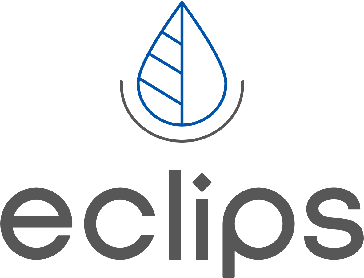 Тестирование новых капсул для стирки Eclips